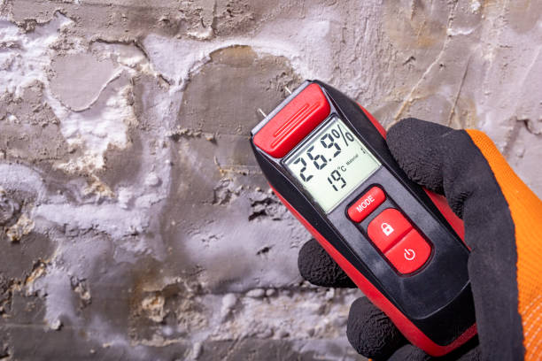 Best Localized Mold Remediation (e.g., coastal areas, humid climates) in Botkins, OH