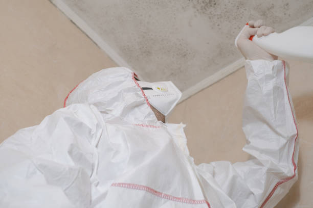 Best Residential Mold Remediation in Botkins, OH