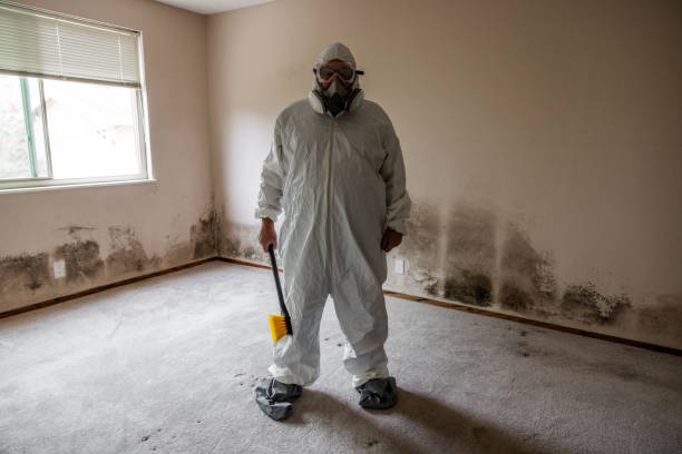 Best Commercial Mold Remediation in Botkins, OH